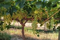 Land for sale in Tulare County, California