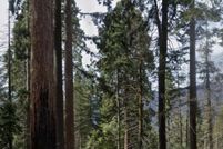 Land for sale in Tulare County, California