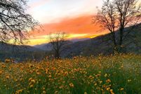 Timberland Property for sale in Tulare County, California