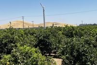 Land for sale in Tulare County, California