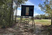 Undeveloped Land for sale in Chambers County, Alabama