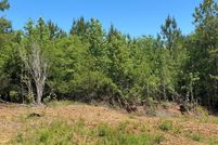 Land for sale in Marion County, Georgia