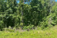 Land for sale in Chattahoochee County, Georgia