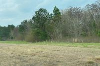 Land for sale in Stewart County, Georgia