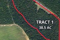 Land for sale in Stewart County, Georgia