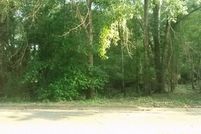 Undeveloped Land for sale in Stewart County, Georgia