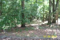 Homesite for sale in Stewart County, Georgia