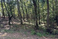 Undeveloped Land for sale in Harris County, Georgia