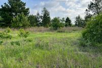 Land for sale in Schley County, Georgia