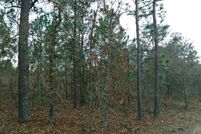 Land for sale in Marion County, Georgia