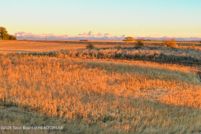 Land for sale in Fremont County, Idaho