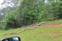 Land for sale in Harris County, Georgia