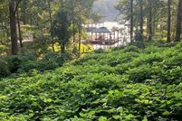Undeveloped Land for sale in Lee County, Alabama