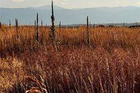 Undeveloped Land for sale in Carbon County, Montana