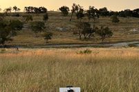 Undeveloped Land for sale in Gillespie County, Texas