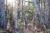 Homesite for sale in Hampton County, South Carolina