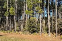 Land for sale in Jasper County, South Carolina