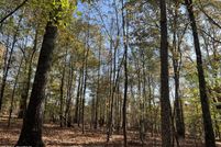Land for sale in Carroll County, Tennessee