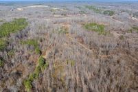 Undeveloped Land for sale in Henry County, Tennessee