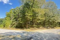 Undeveloped Land for sale in Carroll County, Tennessee