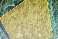 Timberland Property for sale in Sabine County, Texas