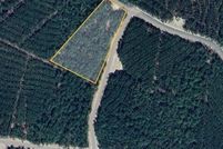 Land for sale in Sabine County, Texas