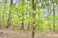 Land for sale in Benton County, Tennessee