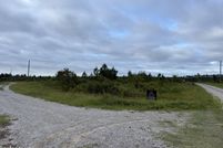 Land for sale in Jasper County, South Carolina