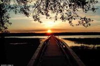 Land for sale in Beaufort County, South Carolina