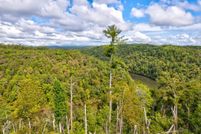 Undeveloped Land for sale in Gilmer County, Georgia