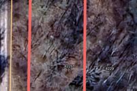 Land for sale in Hamilton County, Tennessee