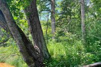 Undeveloped Land for sale in Sawyer County, Wisconsin