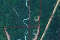 Land for sale in Butler County, Alabama