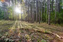 Homesite for sale in Kent County, Michigan