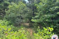 Undeveloped Land for sale in Cass County, Texas