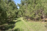 Land for sale in Miller County, Arkansas