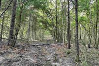 Land for sale in Marion County, Texas