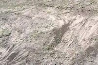 Land for sale in Karnes County, Texas