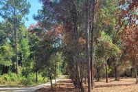 Land for sale in Wakulla County, Florida