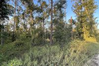 Timberland Property for sale in Suwannee County, Florida