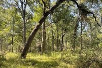 Farm and Ranch for sale in Limestone County, Texas