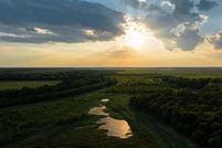 Undeveloped Land for sale in Bowie County, Texas