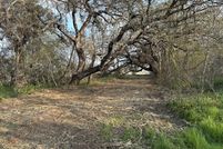 Land for sale in Wilson County, Texas