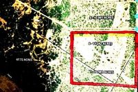 Land for sale in Atascosa County, Texas