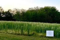 Land for sale in Louisa County, Iowa