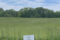 Land for sale in Louisa County, Iowa