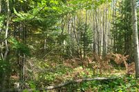 Land for sale in Douglas County, Wisconsin