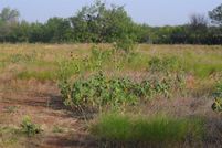 Farm and Ranch for sale in Taylor County, Texas