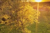 Land for sale in Parker County, Texas