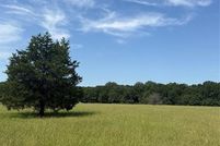 Undeveloped Land for sale in Red River County, Texas